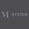 MSYSTEM